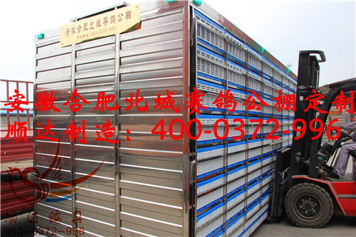 安徽合肥北城賽鴿公棚定制 放飛籠 賽鴿集裝箱 鴿籠產(chǎn)品展示