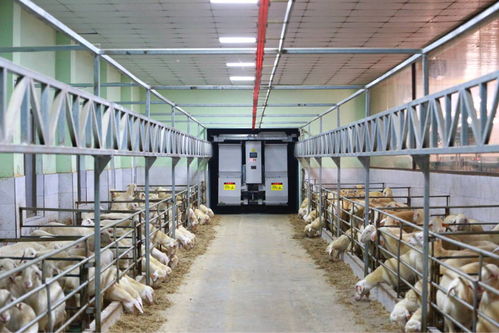 農(nóng)業(yè)“雙強(qiáng)”行動(dòng)結(jié)碩果，浙江農(nóng)業(yè)生產(chǎn)更高效，集裝箱租賃助力產(chǎn)業(yè)升級(jí)